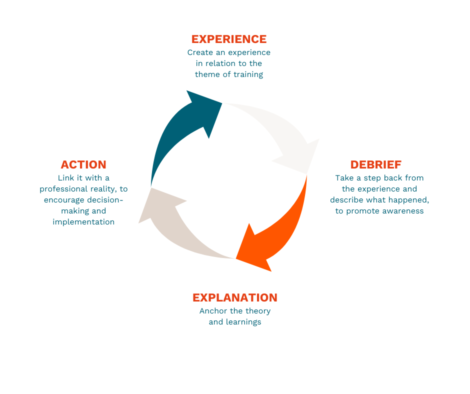 a colored cycle of the experiential learning cycle with the 4 different learning phases